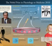 Nobelpriset i fysiologi eller medicin 2010 – poster