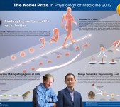Nobelpriset i fysiologi eller medicin 2012 – poster
