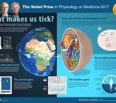 The Nobel Prize in Physiology or Medicine 2017