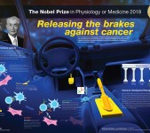 The Nobel Prize in Physiology or Medicine 2018