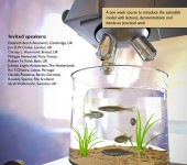 Poster för doktorandkurs – tema zebrafisk
