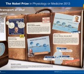 Nobelpriset i fysiologi eller medicin 2013 – poster