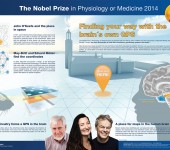 Nobelpriset i fysiologi eller medicin 2014 – poster